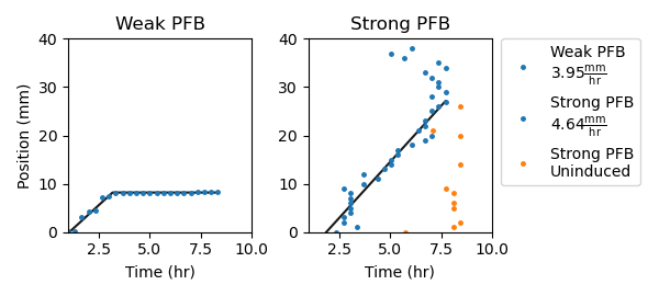 Comparing signaling propagation through bistable amplifier cells with different 5’ UTR sequences controlling ribosomal binding to mRNA transcripts. Threshold-crossing events are grouped into 1mm-wide bins. The data points with smallest time value from each bin are plotted and used in fitting trend lines. Trend lines are piecewise, with a linear and flat components. Both “weak” and “strong” positive feedback circuits uniformly deposited over a long agarose pad. In control samples, cells were grown without inducer chemicals. In experimental samples, a 25nL droplet of 50uM C4-HSL was deposited at the 0 mm position and allowed to dry before imaging.