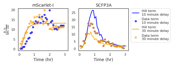 Data from a single experimental well is shown here with two choices of mScarlet-I channel delay. The corresponding Hill and Data term values illustrate the effect of the delay parameter on how the residual is calculated. In the case of the mScarlet-I terms, the Hill term is left unchanged while the Data terms are moved backwards in time by the delay value. Data that fall into negative time are removed and replaced by resampling the same number of points from the end of the time series. The SCFP3A Data terms are unchanged while the Hill terms respond to the time-shifted density-normalized mScarlet-I fluorescence.