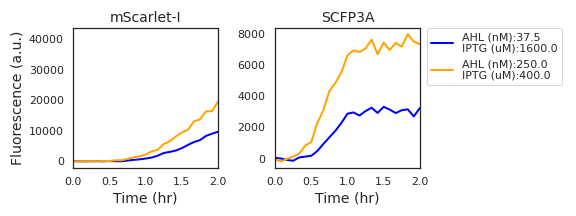 Fluorescence data from two experimental wells with high expression activity show a marked delay in the initial accumulation of mScarlet-I fluorescence in comparison to SCFP3A fluorescence. Derivative estimates verify that there is no measured change in mScarlet-I fluorescence in the first half hour of data acquisition.