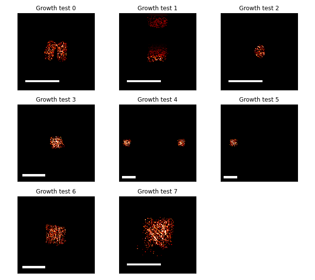 The images in each plot show the fluorescence micrographs of the different agarose pad growth contexts. The images show the size and position of the cells on the square agarose pads of varying sizes. While the images were collected with a spatial resolution of 0.89 \(\mu\)m, these images were downsampled by a factor of 64 in order to match the spatial resolution of the simulated data. Scale bars in each image are 4mm.