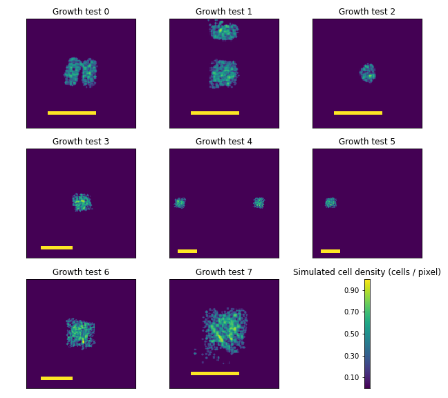 The images in each plot show the simulated planar cell densities designed to match the experimental conditions shown in Figure C.1. Yellow scale bars in each image are 4mm.