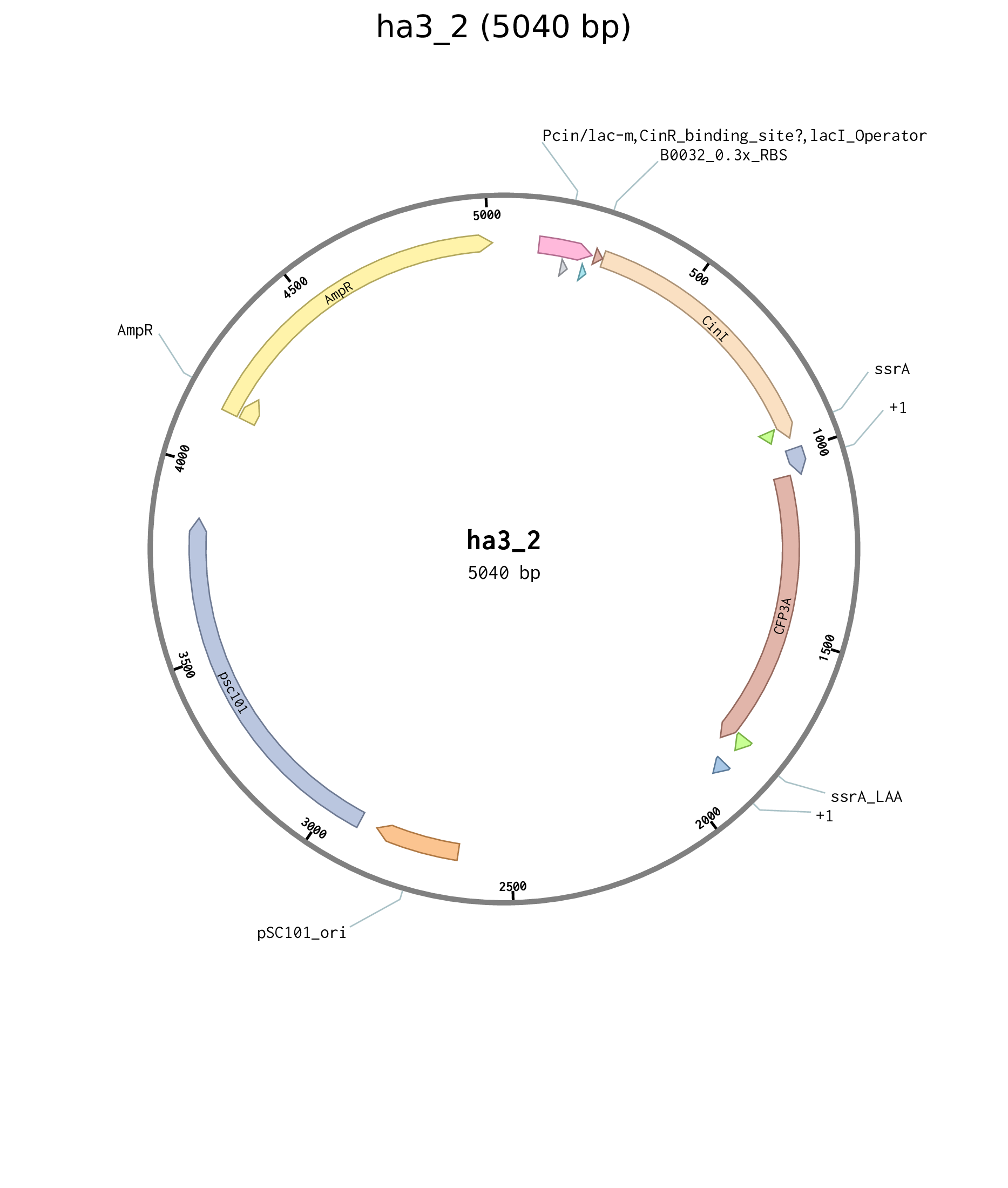 Plasmid map for Cin positive feedback plasmid ha3_2.